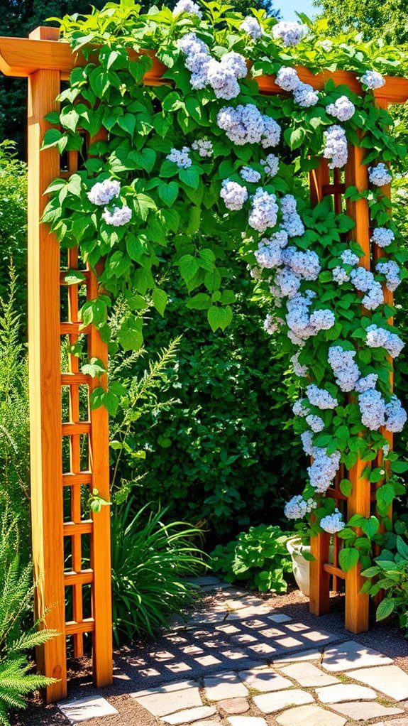 climbing plants on trellis