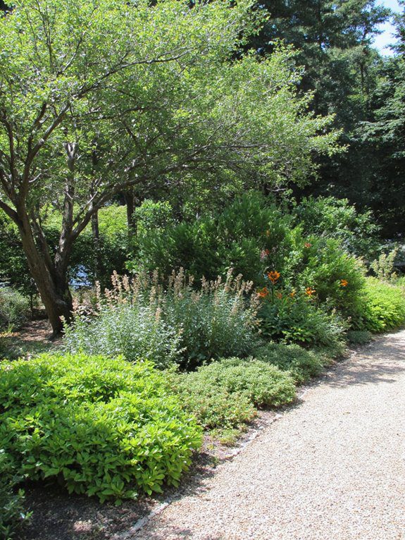 tranquil plant groupings zones