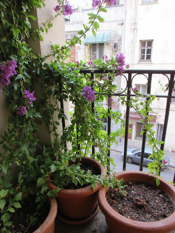 vertical gardening with climbers
