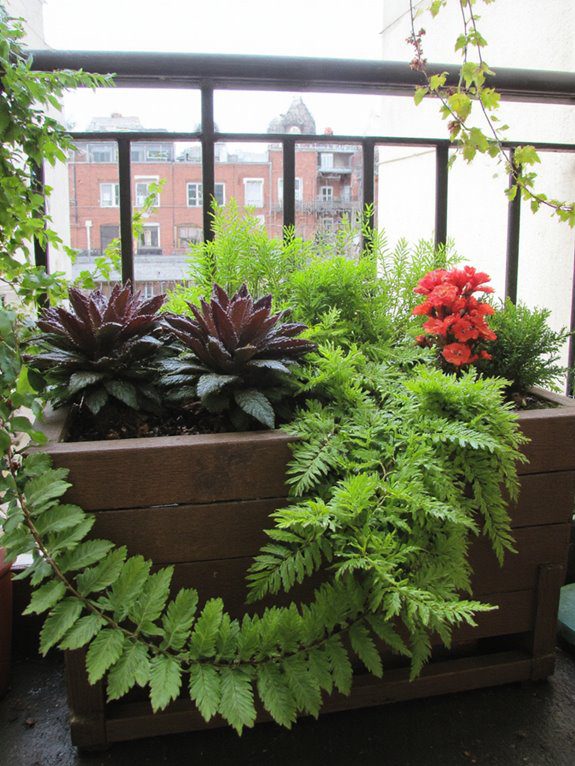 vibrant balcony plant combinations