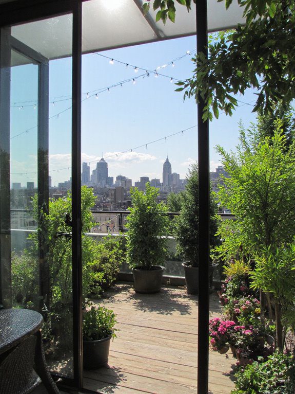 wind protection for plants