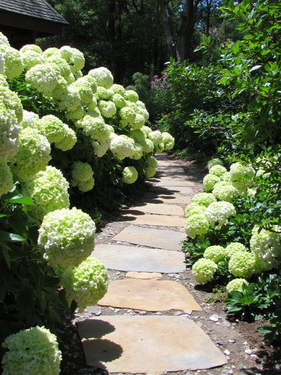 blooming cottage pathway charm
