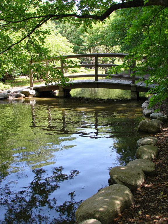 charming bridge enhances tranquility