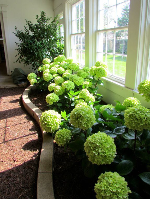 curved garden bed design