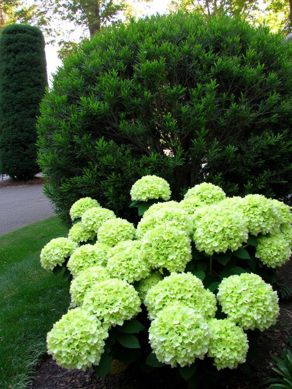 elegant garden plant pairing