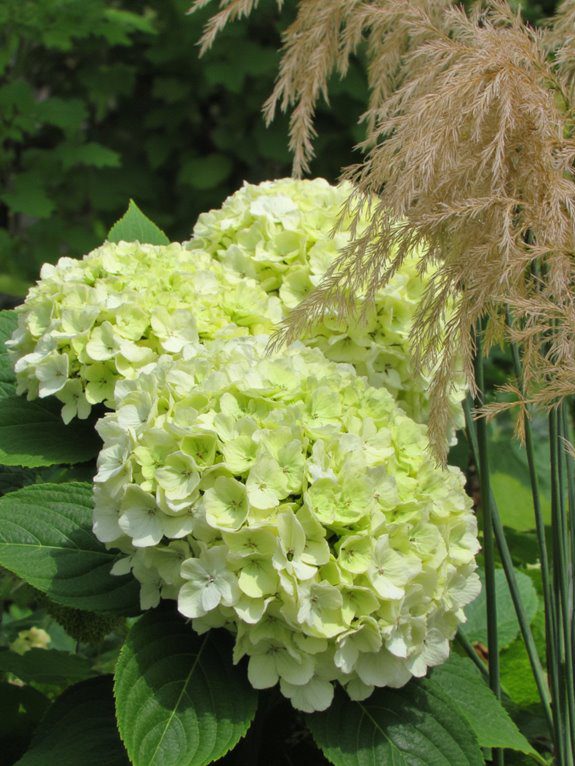 lush blooms graceful grasses