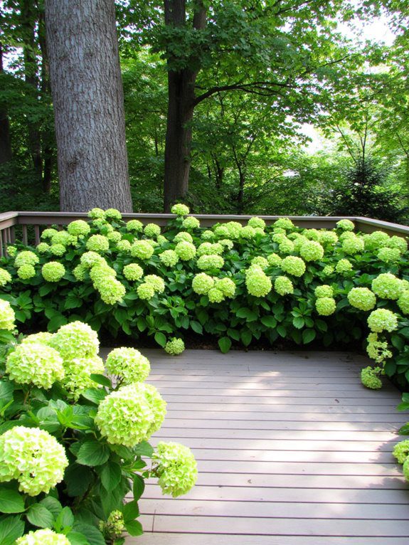 lush container garden retreat