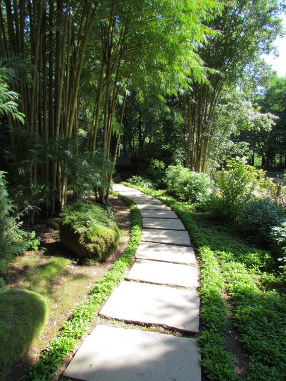 mindful walking meditation pathway