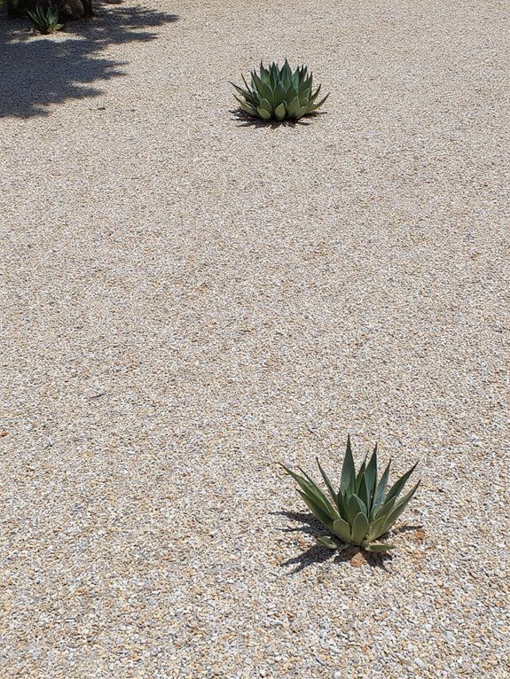 peaceful minimalist gravel garden