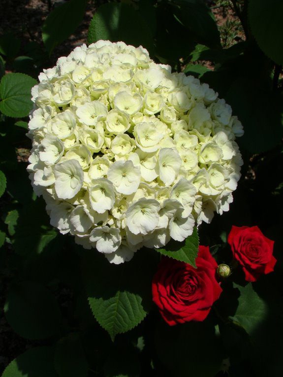 romantic garden floral pairing