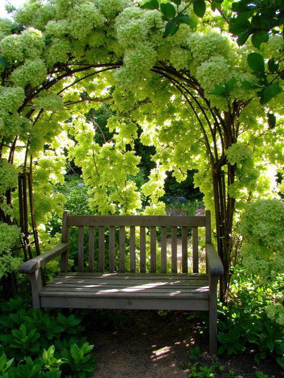 serene garden bench oasis