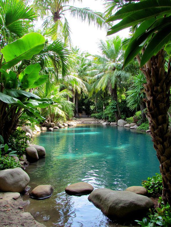 tropical pond paradise oasis