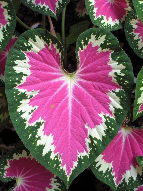 vibrant shade garden colors