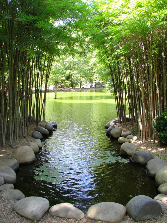zen pond with bamboo
