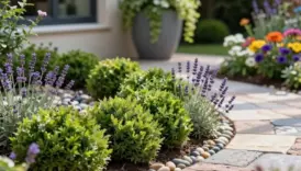 standout front yard landscaping