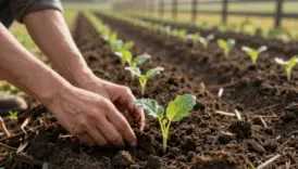 clear long term farm planning