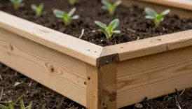 raised bed with durable materials