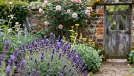 romantic timeless english cottage garden